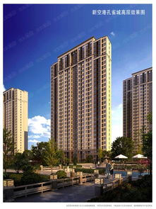 第二機(jī)場(chǎng)受益區(qū)域解析 首付27萬(wàn)購(gòu)100平3居