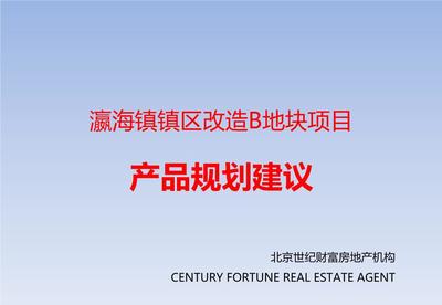 北京瀛海鎮(zhèn)鎮(zhèn)區(qū)改造B地塊項(xiàng)目產(chǎn)品規(guī)劃建議.ppt